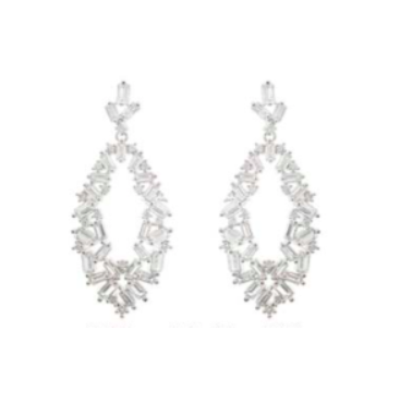 Ilaria Oval Crystal Hoop Earrings